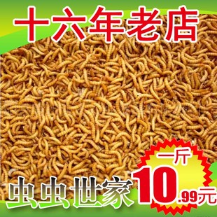 黄粉虫面包虫活体 活虫鲜活虫种虫 鸟食鱼食活体仓鼠乌龟饲料鱼饵