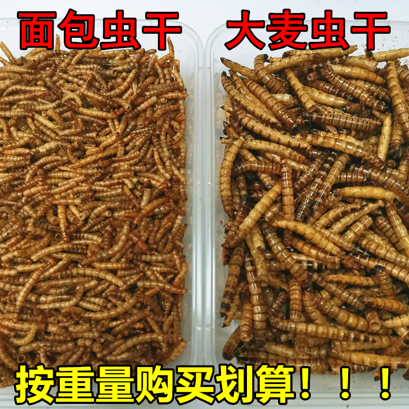 面包虫子干大麦虫干黄粉虫干小虫高蛋白500g鸟仓鼠鱼宠物零食包邮 宠物/宠物食品及用品 爬虫/鸣虫食物 原图主图