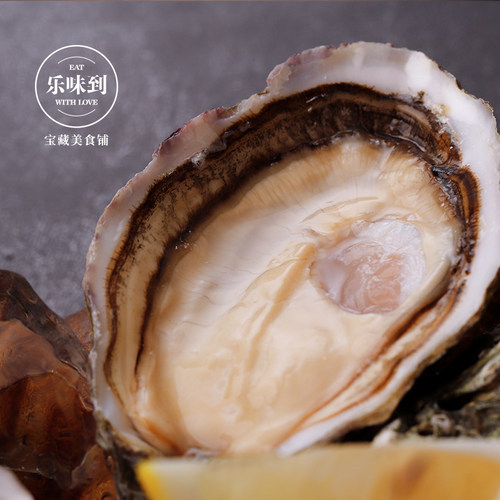 法国原装金皇御生蚝 千中选一 爽脆甘甜