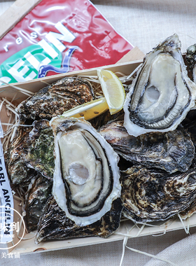 法国空运 鲜活牡蛎安芝莲生蚝ANCELIN原装木盒N1 12只