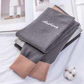 2026秋冬加绒加厚秋裤 纯棉兔毛绒打底裤 女外穿灰色高腰显瘦加长裤