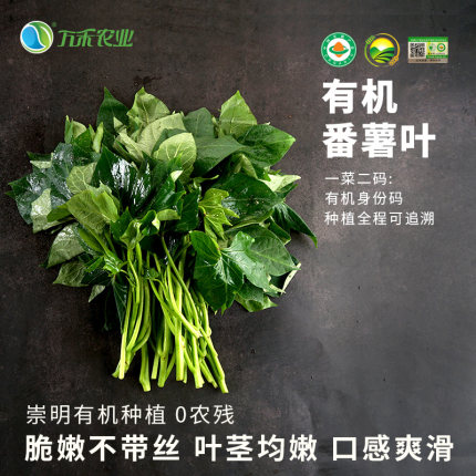 万禾农业万禾有机新鲜番薯叶红薯叶地瓜叶宝宝辅食蔬菜250g新鲜
