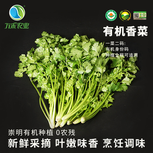 万禾农业 上海崇明有机农场  有机新鲜香菜 芫荽菜 200g