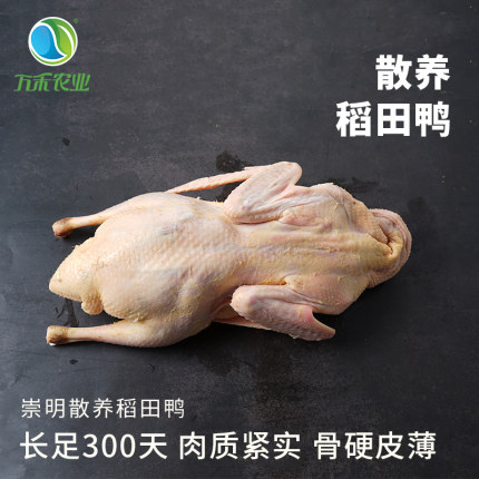 万禾农场 有机农场散养足年营养新鲜花鸭整鸭煲汤800g左右