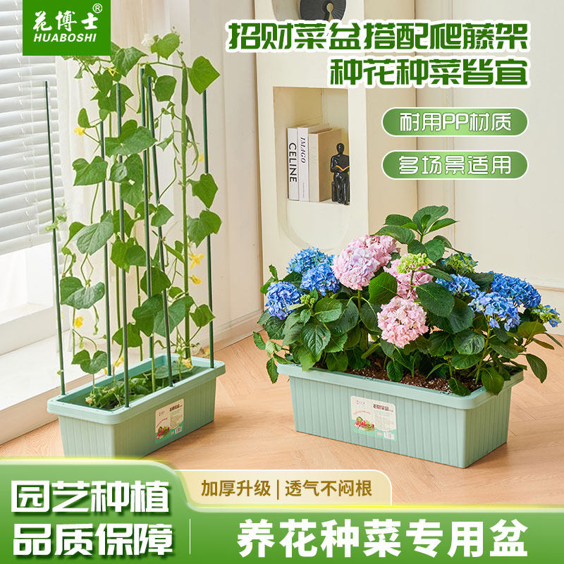 种菜专用盆户外大花箱长方形塑料花盆阳台楼顶养花神器蔬菜种植箱,鲜花速递/花卉仿真/绿植园艺,花盆,淘宝优惠券,粉丝福利购,淘宝优惠卷
