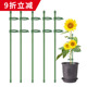 园艺支撑杆花架固定器花卉植物室内蝴蝶兰花防倒支架卡扣式 支撑架