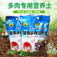 多肉专用营养土家庭园艺肥料环保天然有机缓释肥多肉植物保水保肥