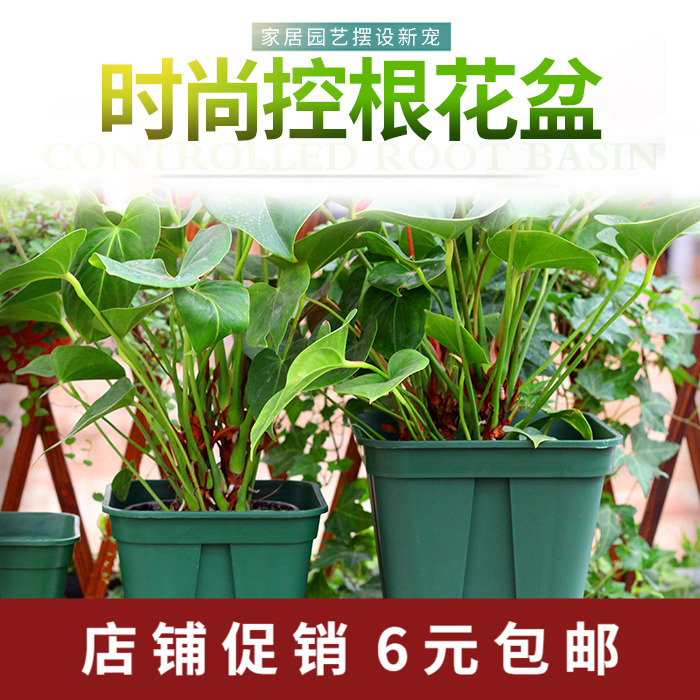 欧式PP树脂控根花盆不窝根月季铁线莲绿植花盆月季盆塑料青山花盆