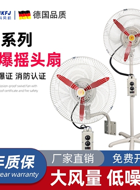 BTS防爆摇头扇 FB-500工业风扇60式牛角扇220V380V0壁挂式750落地