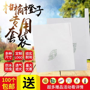 柑橘专用套袋不知火春见红美人袋