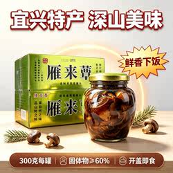 宜兴特产雁来蕈野生食用菌罐头溧阳雁来蕈鲜香下饭即食拌面佐粥