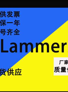 现货LAMMERS系列马达 1TZ系列电动机