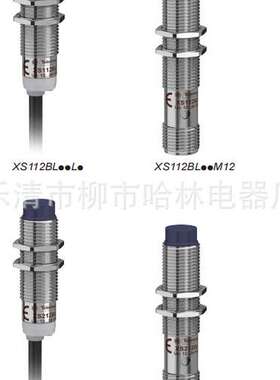 供应全新感应金属接近开关XS112BLPBM12 XS118BHNAL2