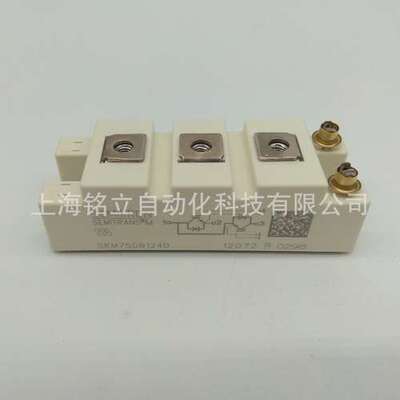 模块SKM500GA123DS/SKM500GA123D/SKM500GA124D/SKM500GA128D