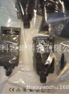 AZ17-11ZK-ST施迈赛SCHMERSAL安全门开关