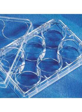 Corning 3516 6孔细胞培养板50块每箱 3599 96孔板100块每箱