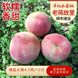奉化水蜜桃湖景玉露宁波特产当季水果顺丰空运农家果园可采摘