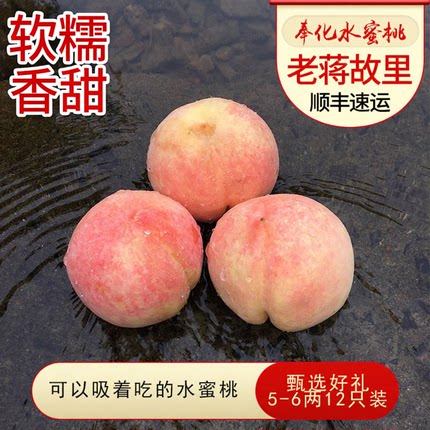 奉化水蜜桃湖景玉露软糯香甜宁波特产当季水果顺丰空运果园可采摘