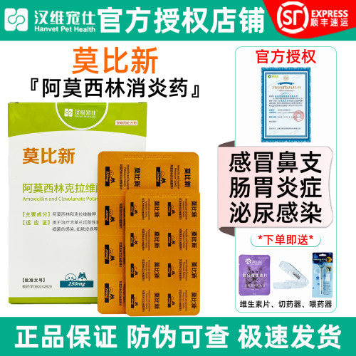 莫比新阿莫西林猫狗消炎药