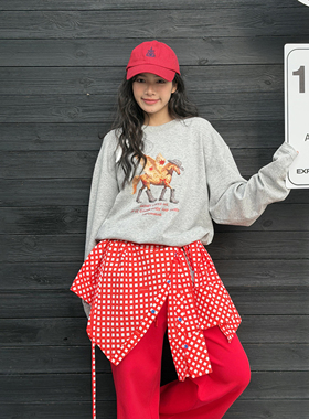 LEDIM WANG 马年豹纹T恤女灰色新年战袍长袖宽松上衣2026春季新款