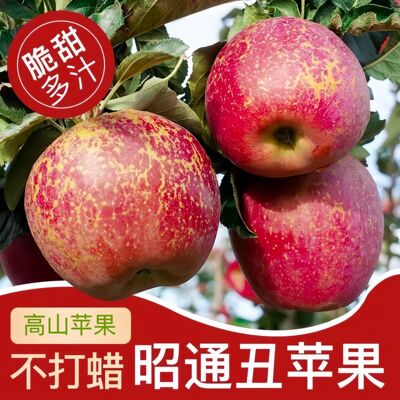 苹果农产品甜脆多汁冰糖心