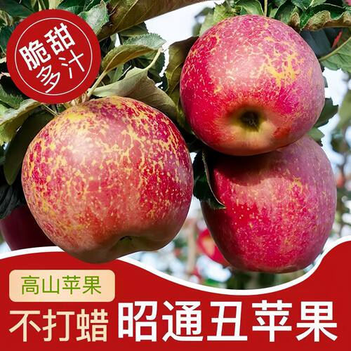 苹果农产品甜脆多汁冰糖心