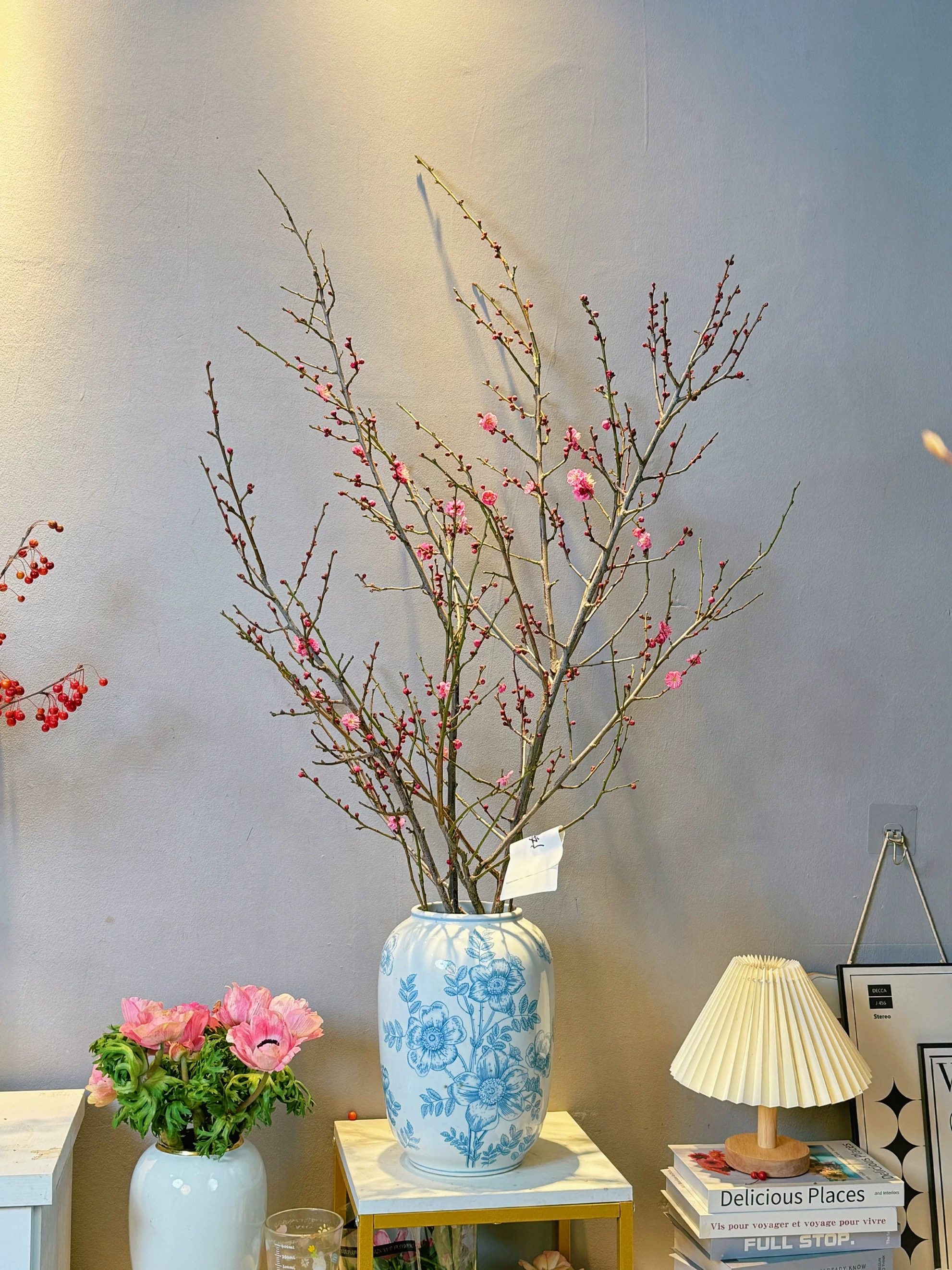 红梅鲜花梅花鲜切花粉色带香味中式插花年宵花过节乔迁新居礼物,鲜花速递/花卉仿真/绿植园艺,花材,淘宝优惠券,粉丝福利购,淘宝优惠卷