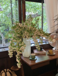 重瓣小手球鲜花簇拥热闹花苞多水养瓶插室内花束昆明直发