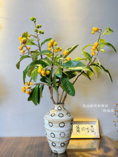 枇杷鲜切花水养插疲中式小众果子类花材婚期花束昆明发货
