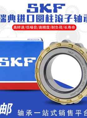进口SKF轴承RN204 205 206 207 219 222 228 307 309 312 313 328