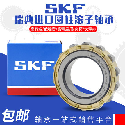 进口SKF轴承RN204 205 206 207 219 222 228 307 309 312 313 328