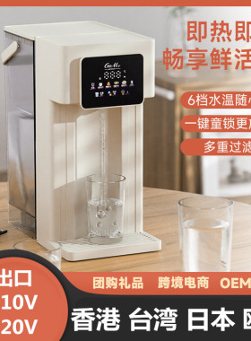 美规110V调奶器小型即热饮水机