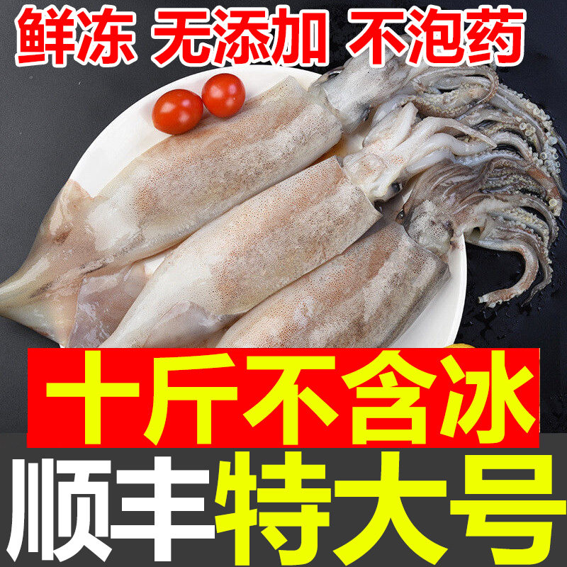 新鲜大鱿鱼整只鱿鱼无冰冷冻生鲜超大只乌贼鱿鱼头鱿鱼须进口鱿鱼