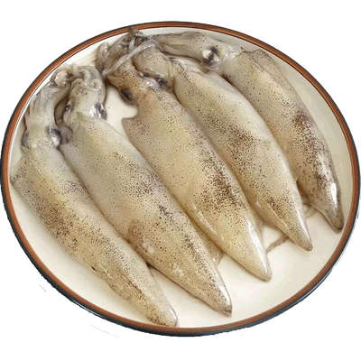 5斤满籽乌笔管鱼冷冻顺丰包邮