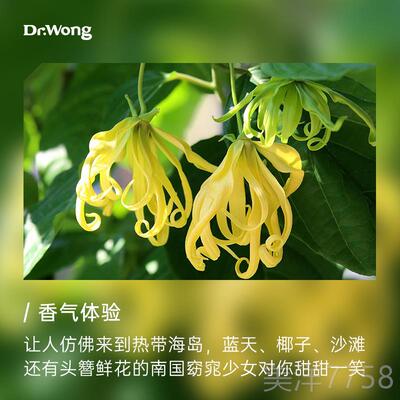 高档Dr.Won依兰单方室精油 天然植物香薰扩香g 5ml卧放舒松压香气