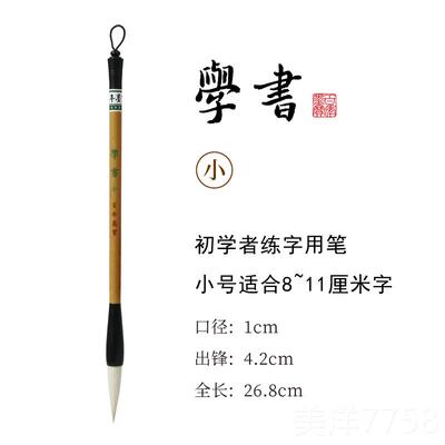 高档学书兼毛笔 套装初学者入大字 楷毛笔毫羊毫 书隶书篆门书 学