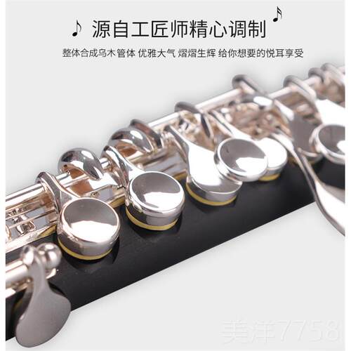 高档未诺合成乌木短笛C调西洋乐器VP-E200S初乐学管队专业演C奏镀