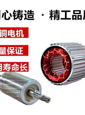 微型电葫芦纯铜线包220V专用纯铜