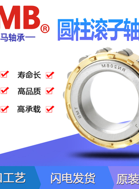 TMB天马圆柱偏心滚子轴承RN321 RN322 RN324 RN328M WY减速机摆线