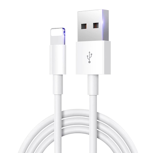 适用苹果14数据线iPhone13pro充电线器11手机12promax快充7车载6s加长2米XR正品8plus短ipad闪充PD20W套装线
