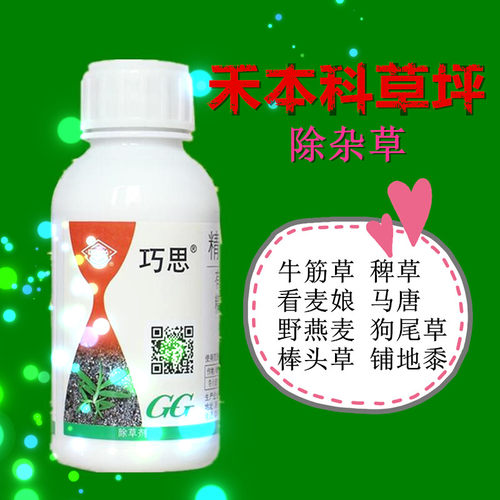 禾本科草坪除牛筋草马唐稗草