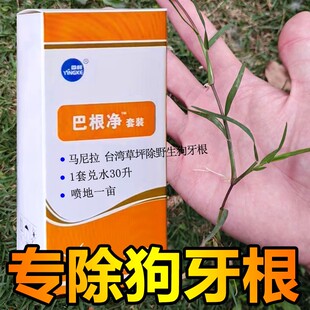 巴根静马尼拉台湾草坪除野生狗牙根兰引三号除绊根草铁线草巴根净