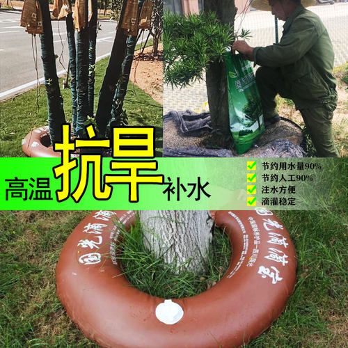 大树滴滴宝苗木抗旱可移动滴灌袋