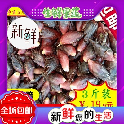 最新优惠券大全 小半折