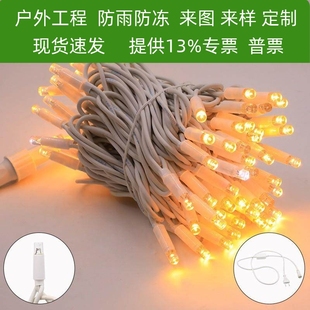 满天星超粗橡胶线泡壳闪灯IP65高防水冻晒LED灌胶灯串彩泡