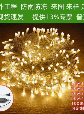 低压24VLED灯串户外防水工程亮化装饰灯小彩灯米粒灯满天星绕树灯