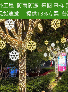 led户外防水五角星雪花发光造型灯工程亮化装饰挂灯挂树上的彩灯
