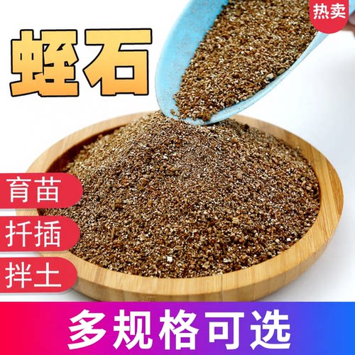 蛭石扦插孵化龟蛇养花育苗月季