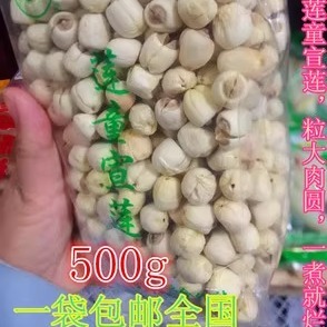 25年新莲子武义莲童宣莲简装500g颗大粒圆一煮就烂包邮大部分省
