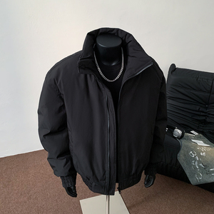 B347-1-A08-P100-控178 冬装保暖棉衣 聚酯纤维图片